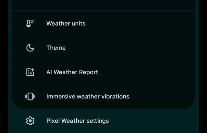 Pixel Weather implementa il conteggio dei pollini e le vibrazioni “immersive”.