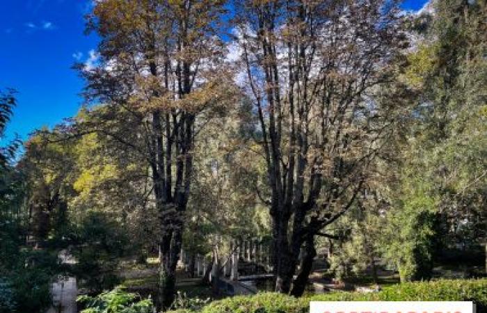 Venti forti a Parigi: chiusura di parchi, giardini e cimiteri questo martedì