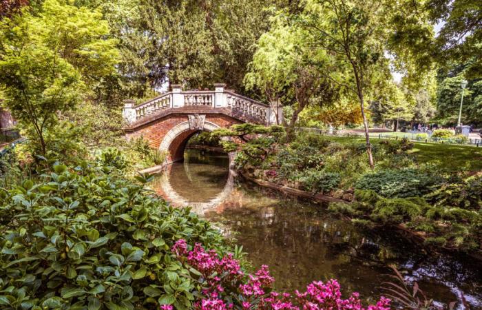 Venti forti a Parigi: chiusura di parchi, giardini e cimiteri questo martedì