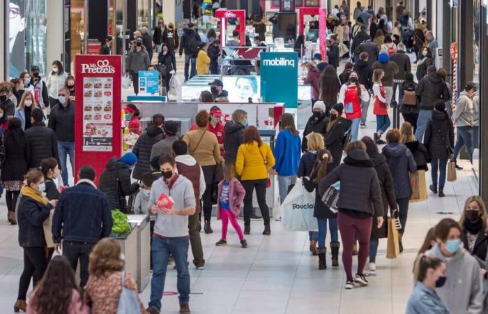 Imprese: indifferenza verso la lingua più diffusa a Montreal