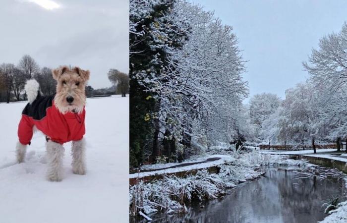 Nelle immagini: le migliori fotografie degli spettatori mentre la neve colpisce le Midlands