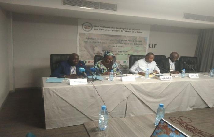 Workshop nazionale sui fertilizzanti e la salute del suolo nell’Africa occidentale e nel Sahel: opportunità per il Senegal – VivAfrik