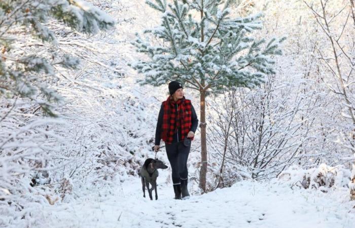 l'allarme neve come “primo assaggio dell'inverno”.