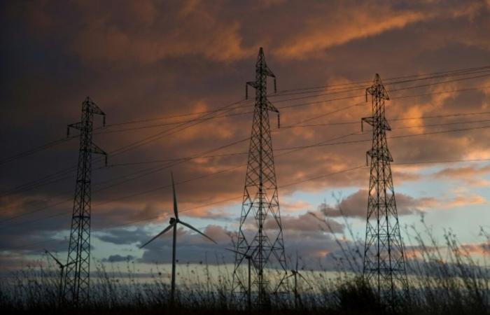 Il poliziotto dell'energia raccomanda di mantenere i prezzi regolamentati dell'elettricità – 19.11.2024 alle 13:21