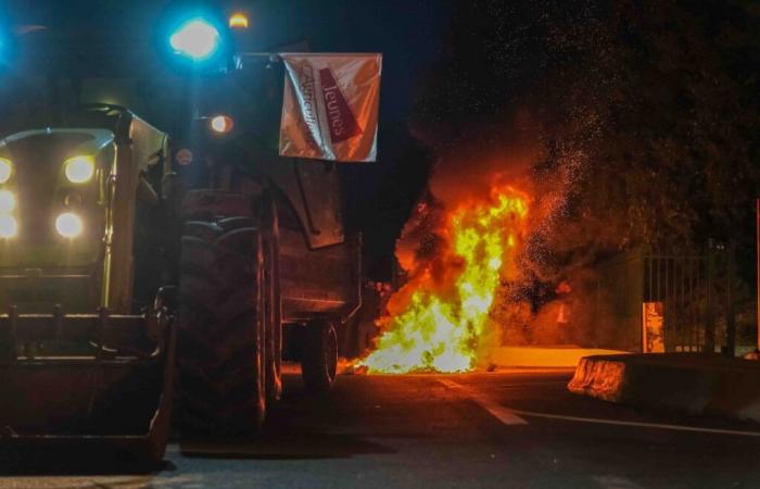 Nîmes: gli agricoltori arrabbiati agiscono – Notizie – Crisi agricola – Nîmes