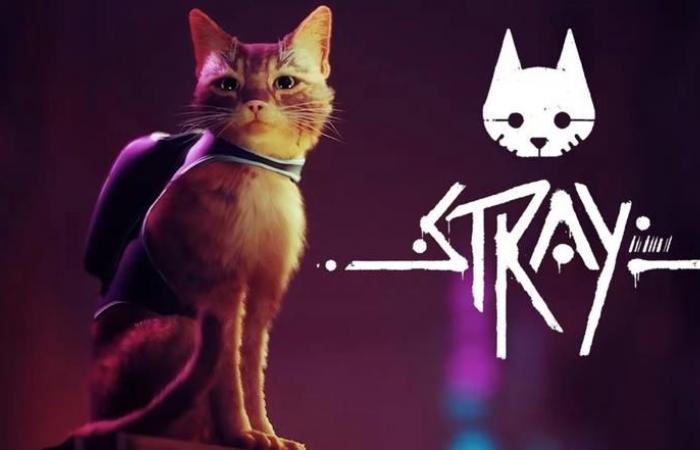 Gioco del giorno: Stray: il viaggio cyberpunk di un gatto rosso in un mondo in rovina è ora disponibile su Nintendo Switch.