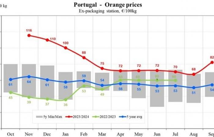 A settembre i prezzi delle arance nell’UE sono diminuiti del 9,24%.