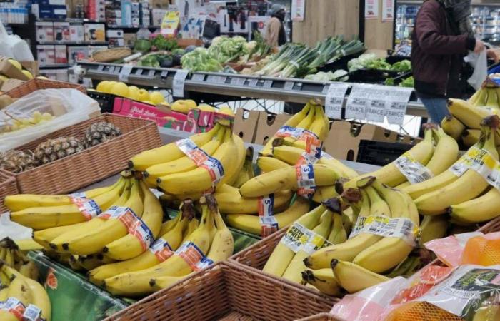 Pont-a-Mousson. Perché Intermarché interromperà la vendita di fragole e ciliegie quest’inverno