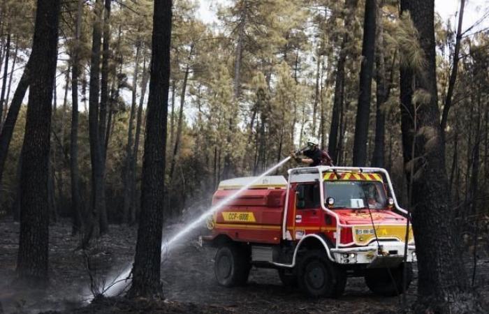 Secondo un rapporto della Commissione, il 2023 è tra i cinque anni più colpiti dagli incendi boschivi in ​​Europa