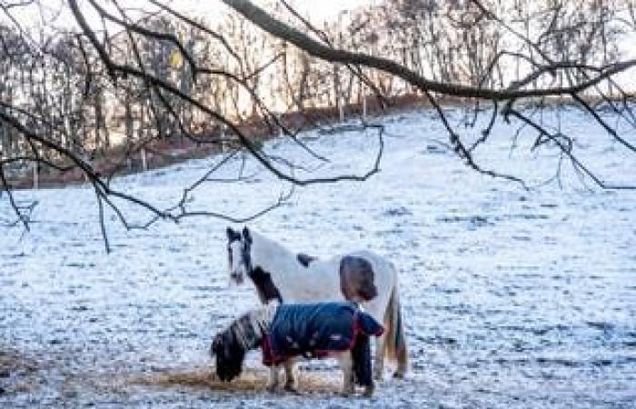 Meteo nel Regno Unito in tempo reale: il caos nei viaggi e la chiusura delle scuole aumentano mentre si prevede che cadano fino a 15 cm di neve in più