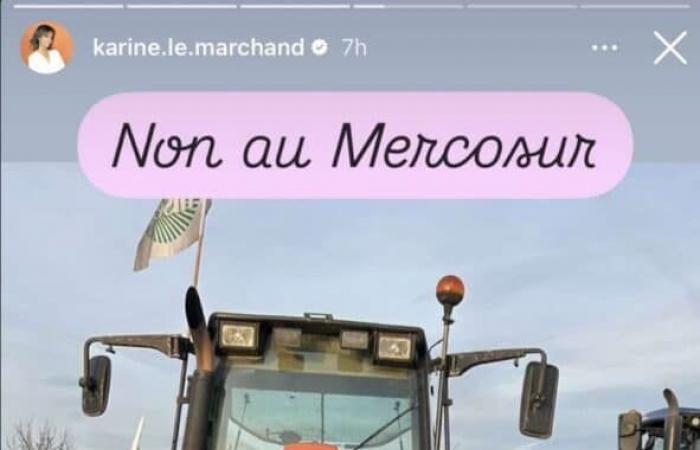 “La rabbia è nel prato”, Karine Le Marchand, il suo grande sfogo su Instagram