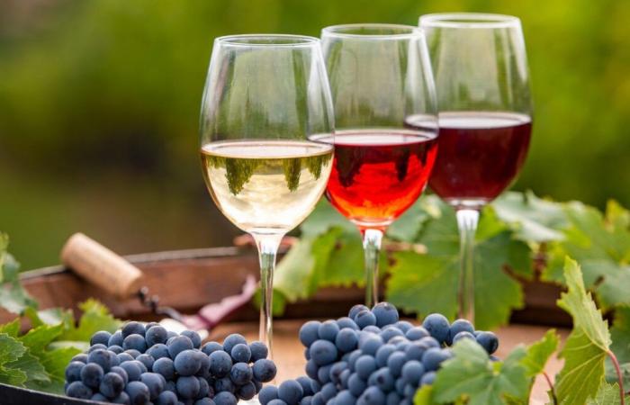 Record raggiunto dopo l'asta di una bottiglia di vino per 11.000 euro