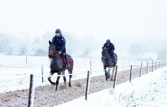 Il Regno Unito trema mentre arriva la neve