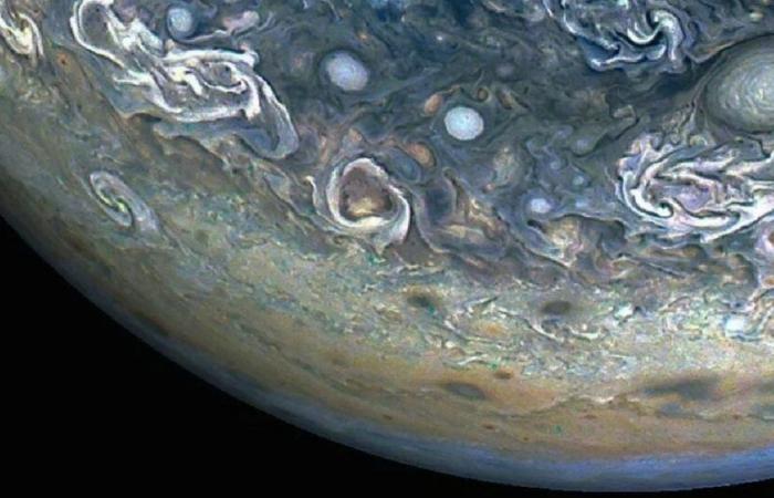 Degna di un film di fantascienza: la sonda Juno della NASA cattura l’immagine di un delfino sulla superficie di Giove