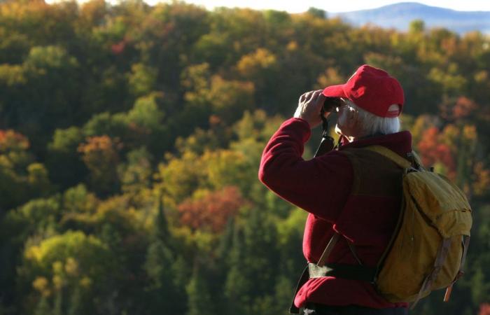 Una passione per le guide di identificazione