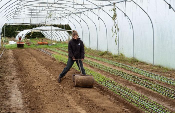 Per rafforzare l’agricoltura contadina, i volontari belgi prendono il controllo dei campi