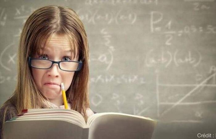 Quiz. Hai il livello di uno studente della scuola elementare in matematica? – Edizione serale della Francia occidentale