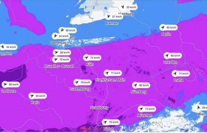 Allerta maltempo dal DWD: la mappa mostra dove oggi le tempeste sono più forti