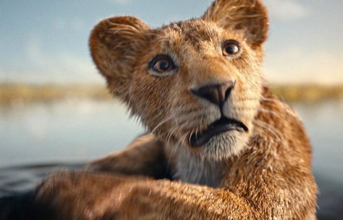 Il trailer finale di “Mufasa: Il Re Leone” presenta un’avventura epica: guardalo qui