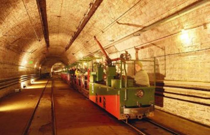 Visita guidata della grande struttura Maginot a Hackenberg: Visita guidata a Veckring