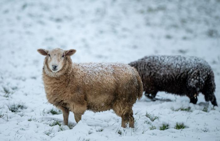 l'allarme neve come “primo assaggio dell'inverno”.