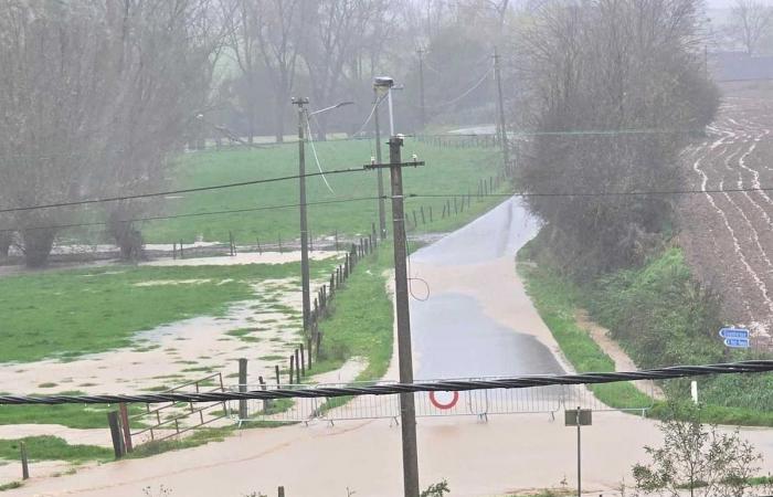 Deflusso dei campi, case colpite: le inondazioni sorprendono i villaggi di Brainois (FOTO)