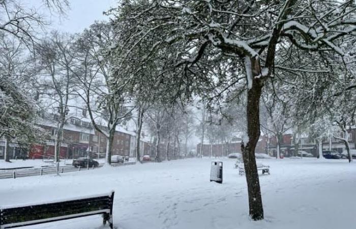 Previsioni complete del Met Office per Birmingham questa settimana (19 novembre