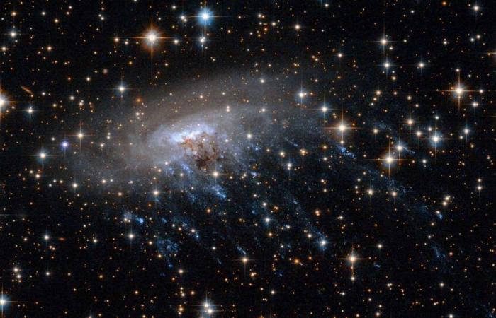 La Via Lattea trasforma questa galassia che la tocca in una medusa cosmica