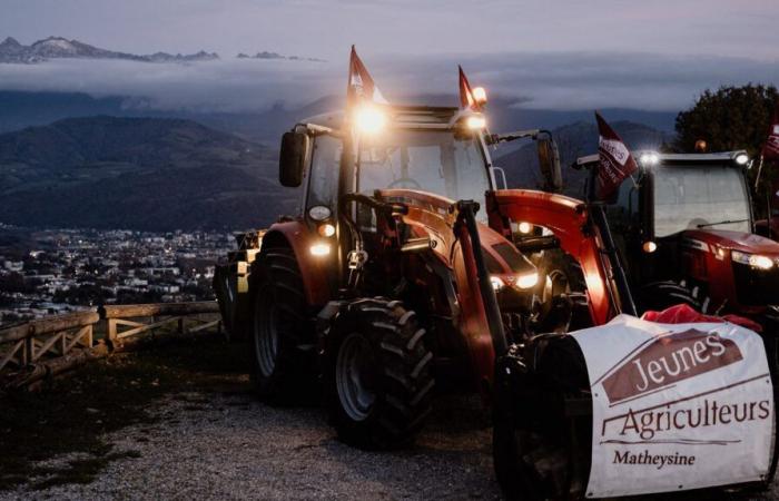 la mobilitazione prosegue con l'entrata in scena del Coordinamento Rurale