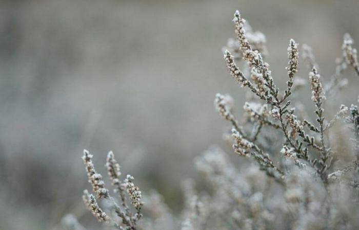 Il sud-ovest vede il suo “primo assaggio di inverno” con la neve che cade a Bristol | Notizia