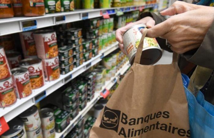 Radio 8 Ardenne | Ardenne: 300 volontari sul ponte per la raccolta annuale del Banco Alimentare