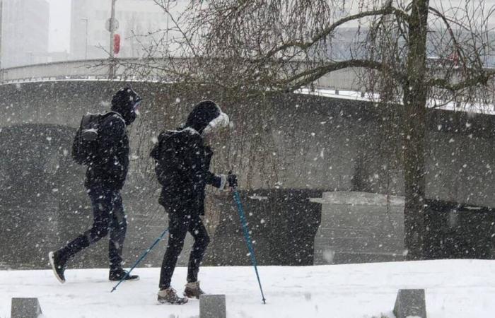 Nevicherà? Non nevicherà nella Loira Atlantica? È ancora troppo presto per dirlo