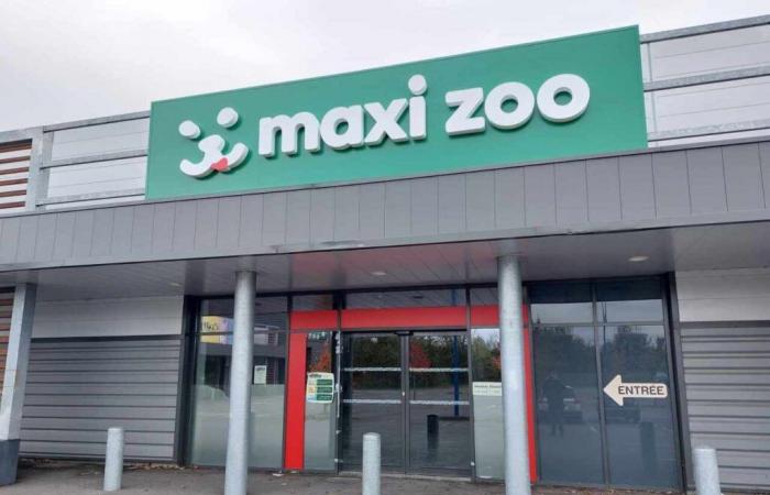 Maxi Zoo e Cuisinella aprono in questa città