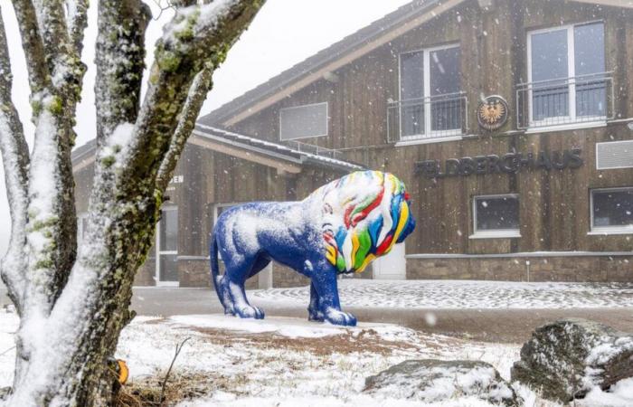 Assia: Tempo invernale in Assia: dopo i temporali e la pioggia arriva la neve