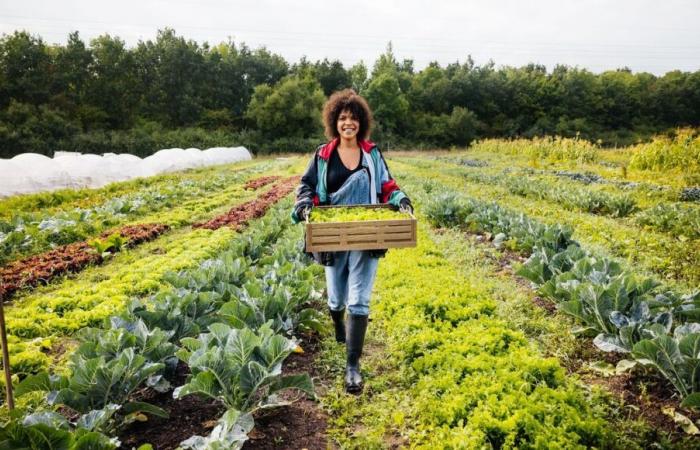 La Camera dell'Agricoltura della Dordogna propone offerte di acquisizione di aziende agricole