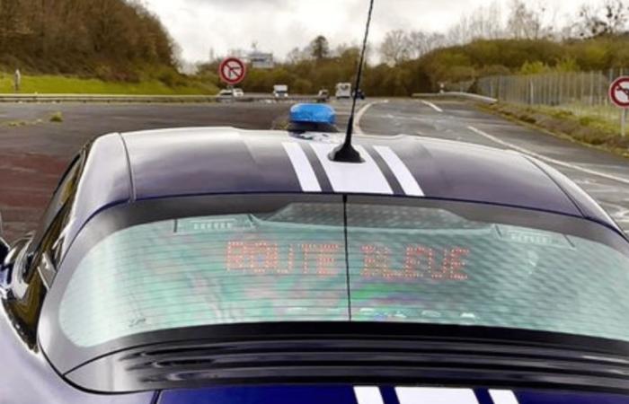 Lampeggiato a 219 km/h al volante della sua Tesla, si rifiuta di conformarsi alla polizia