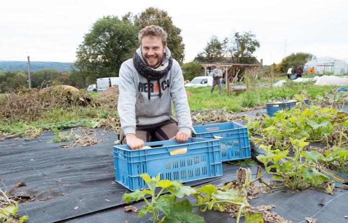 Per rafforzare l’agricoltura contadina, i volontari belgi prendono il controllo dei campi