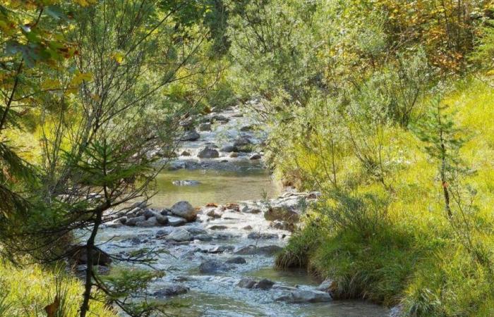 Puy-de-Dôme. Sindaco condannato per uso di glifosato vicino a corso d'acqua