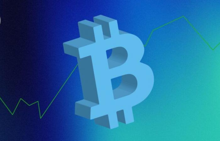 Bitcoin (BTC) a 1 milione di dollari entro la fine del 2025? La previsione folle di questo investitore