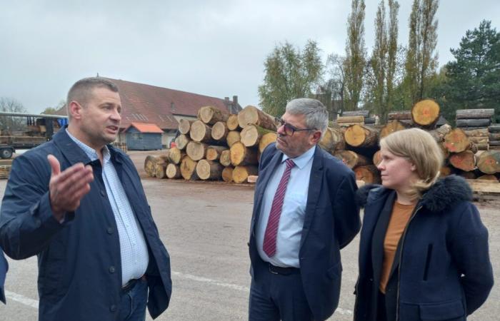 Giurò. Industria del legno nel Giura: come prepararsi al futuro di fronte al cambiamento climatico? | Giura: tutte le informazioni locali