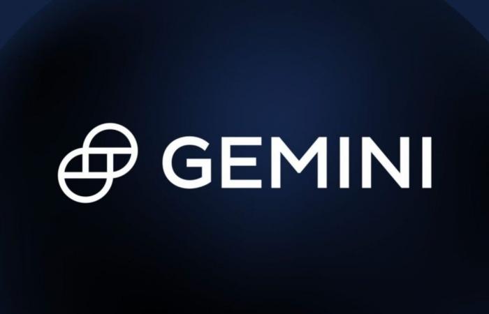 Ecco Gemini, la nuova piattaforma crypto in arrivo in Francia