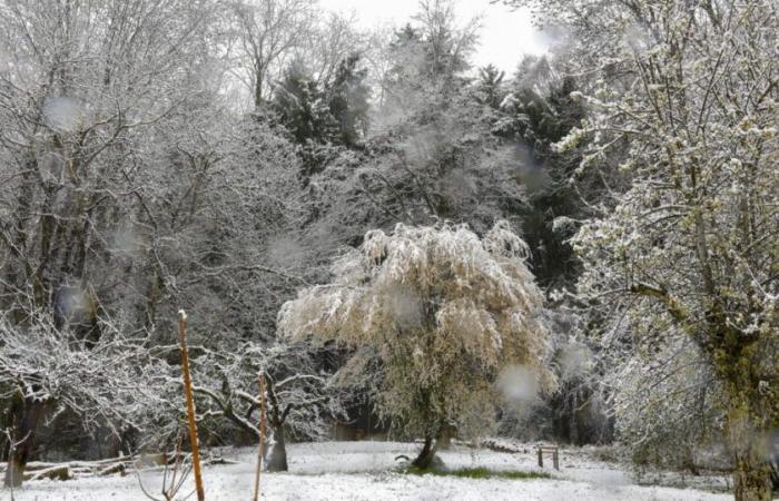 Bollettino meteorologico. Ritorna il freddo, prevista neve sulle Alpi e forse in pianura