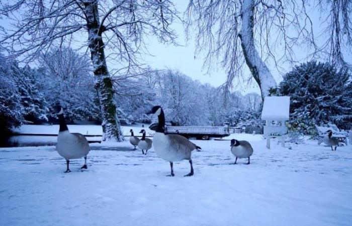 Nelle immagini: il Regno Unito trema mentre arriva la neve