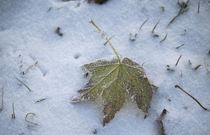 Mercoledì è prevista la prima neve in pianura