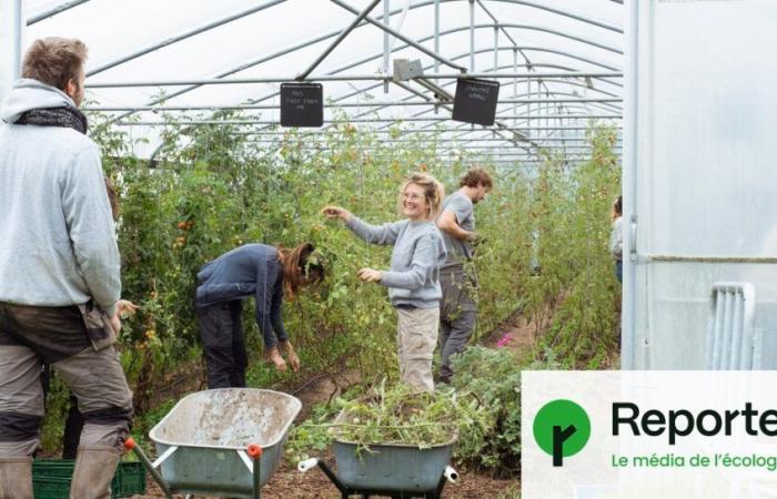 Per rafforzare l’agricoltura contadina, i volontari belgi prendono il controllo dei campi