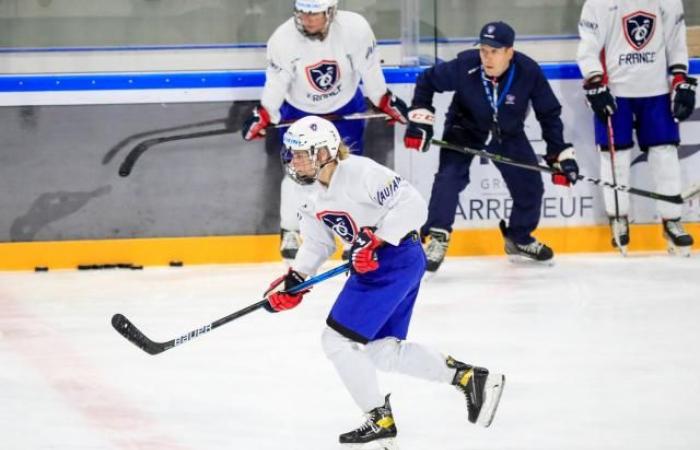 La squadra francese conosce il suo programma per la Coppa del Mondo