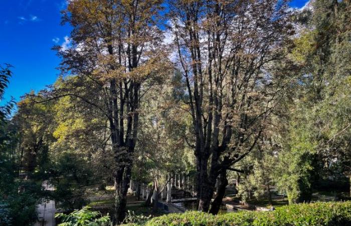 Venti forti a Parigi: chiusura di parchi, giardini e cimiteri questo martedì