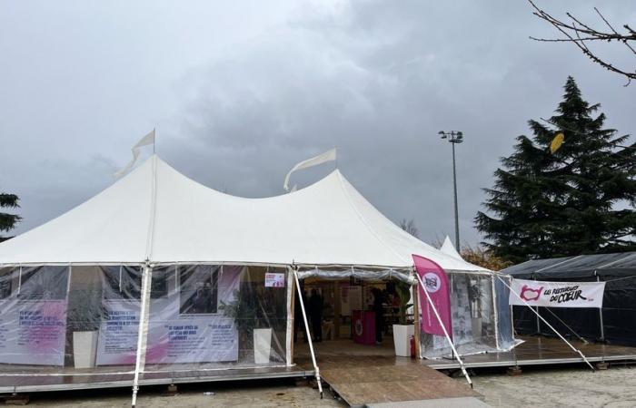 In diretta da Gennevilliers per il lancio della 40esima campagna invernale di Restos du Coeur