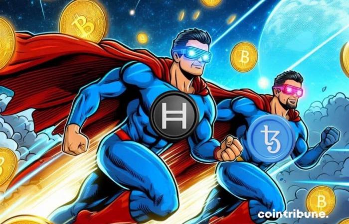 Hedera e Tezos raggiungono nuove vette!