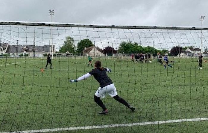 Calcio femminile: una squadra del Tolosa sporge denuncia per insulti razzisti e sessisti durante una partita